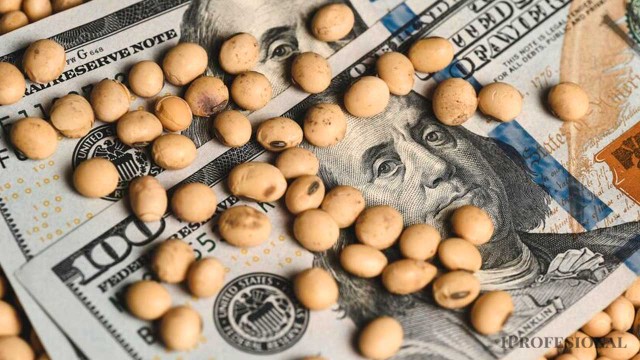 Paradoja de Milei post cepo: si sigue bajando el dólar, el campo «encanutará» la cosecha?