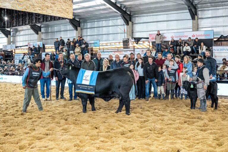 De lujo: Brangus consagró sus grandes campeones que se llevaron todas las miradas