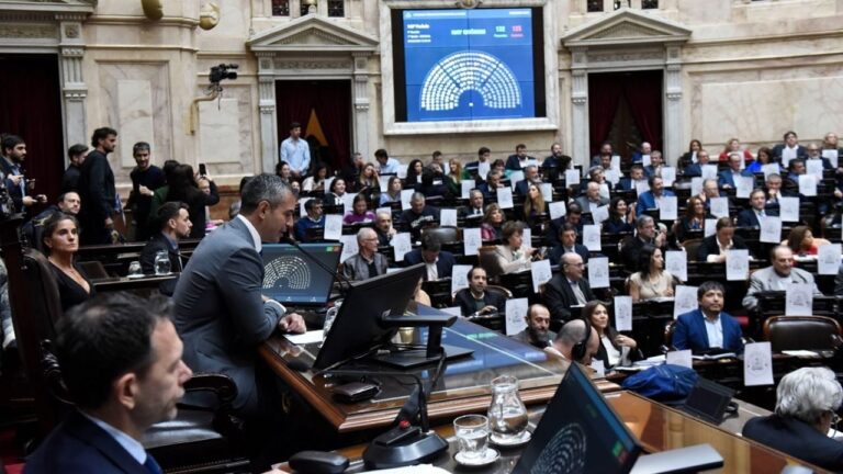 Media sanción en Diputados para el aumento de las jubilaciones y moratoria