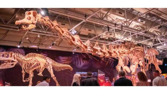 El dinosaurio más grande del mundo llegó al Parque Thays