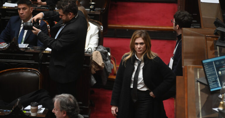 Cruce entre un diputado que viajó a EE.UU a investigar el escándalo cripto de LIBRA y Lilia Lemoine