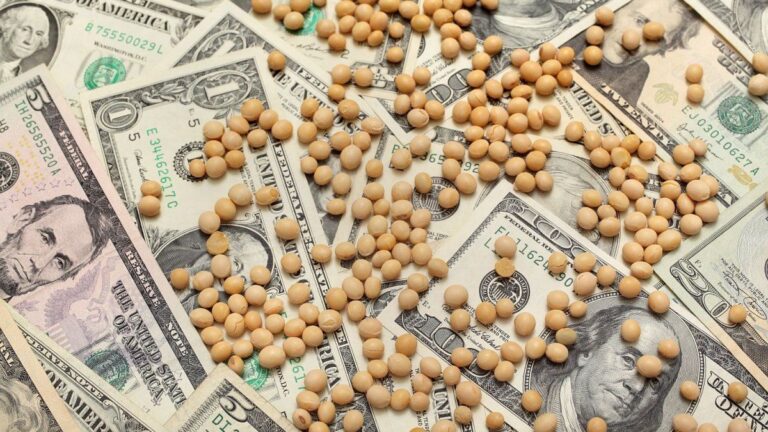 Clave para el dólar: exportadores anticipan que la oferta de divisas caerá 50%