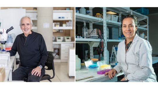 La Fundación Bunge y Born reveló los ganadores 2025 de su premio en «Bioquímica» y «Biología Molecular»