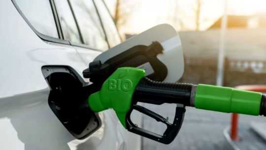 Axel Boerr sobre el biodiesel: Tenemos una ley que es mala y que se incumple