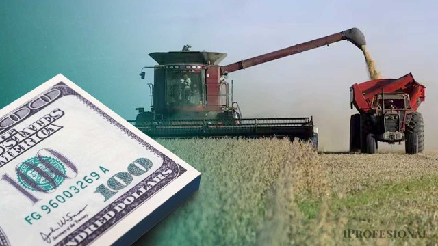 Estos son los grandes dueños de la venta de soja y que le sacaron el jugo a las retenciones 0%